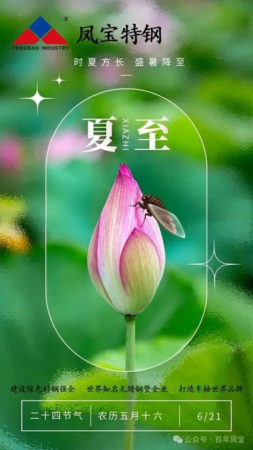 01.webp (1).jpg 01.webp (1).jpg